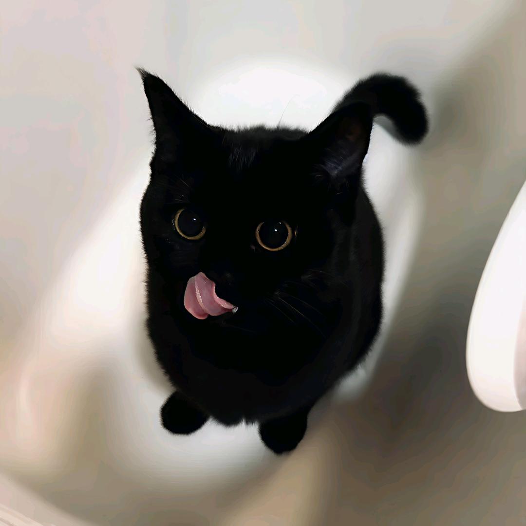 小白.