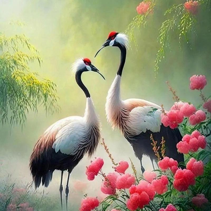 AL与梦