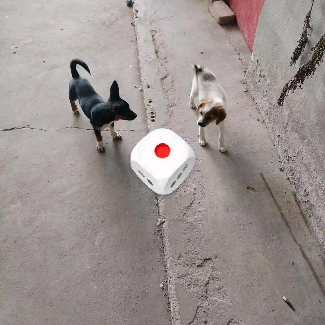 用户680709一8520104来了