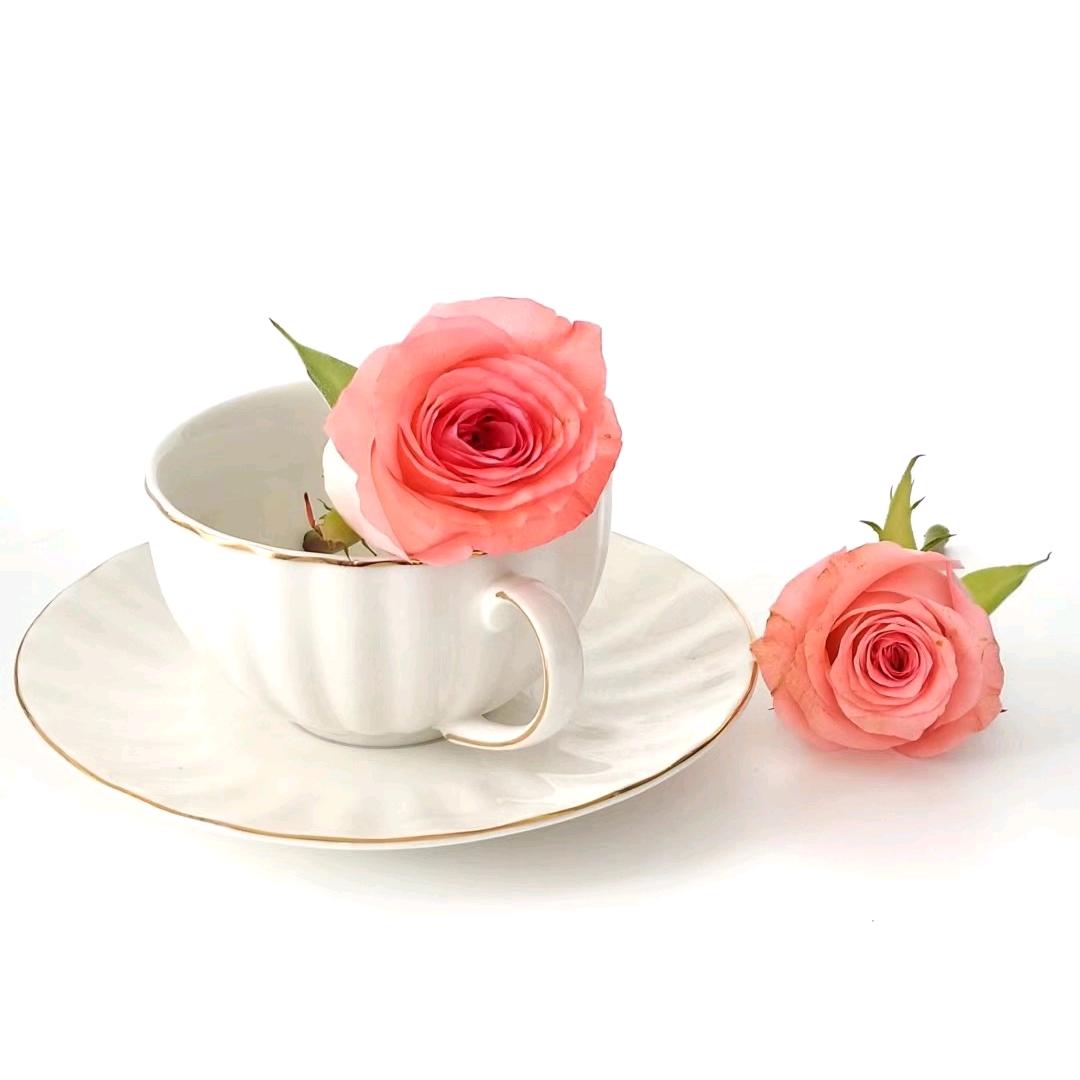 顺其自然的橱窗