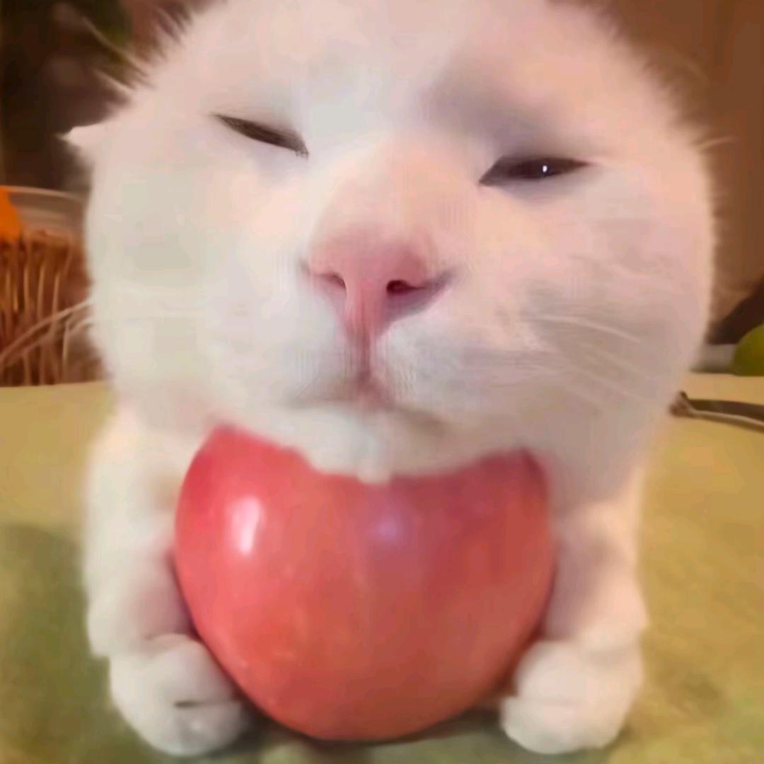 辣堡小张