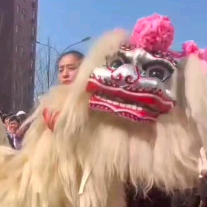 濮阳小妹舞狮团(全国接单)