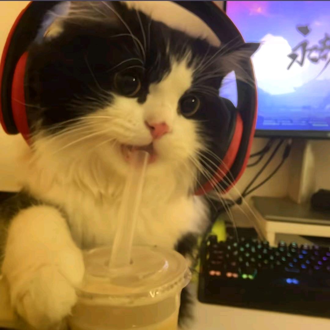铮铮