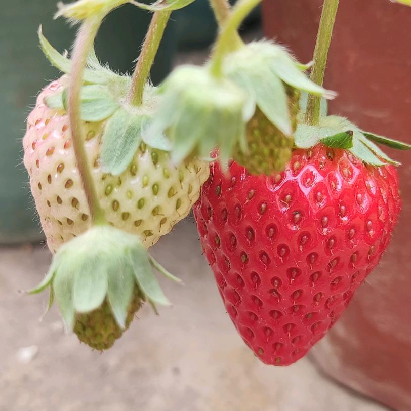 崔姑娘☞余生请好好爱自己🌹