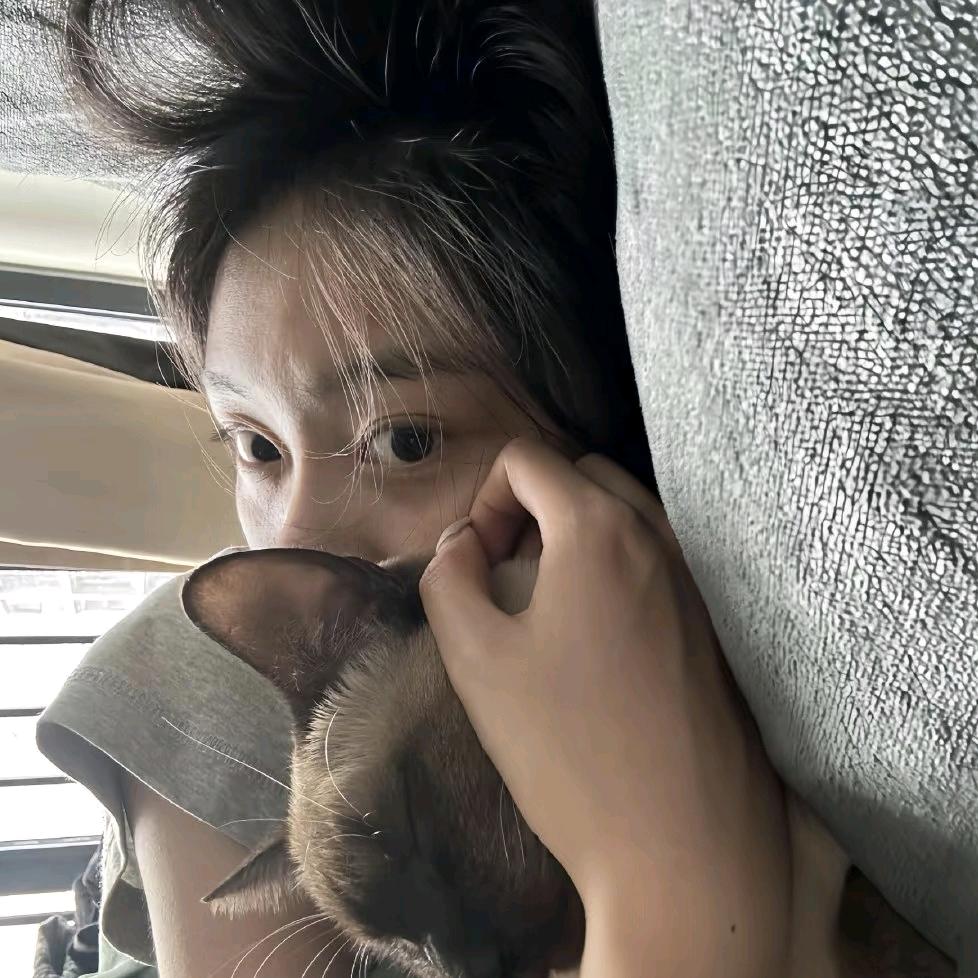 东野+猪猪日记yo