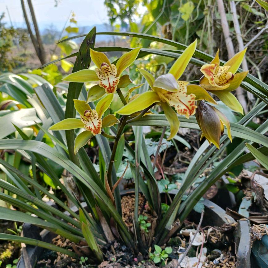 宜宾美的售后工程师