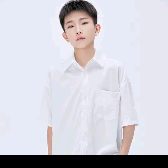 不是我不是理你，不是我不是理你是我不是是