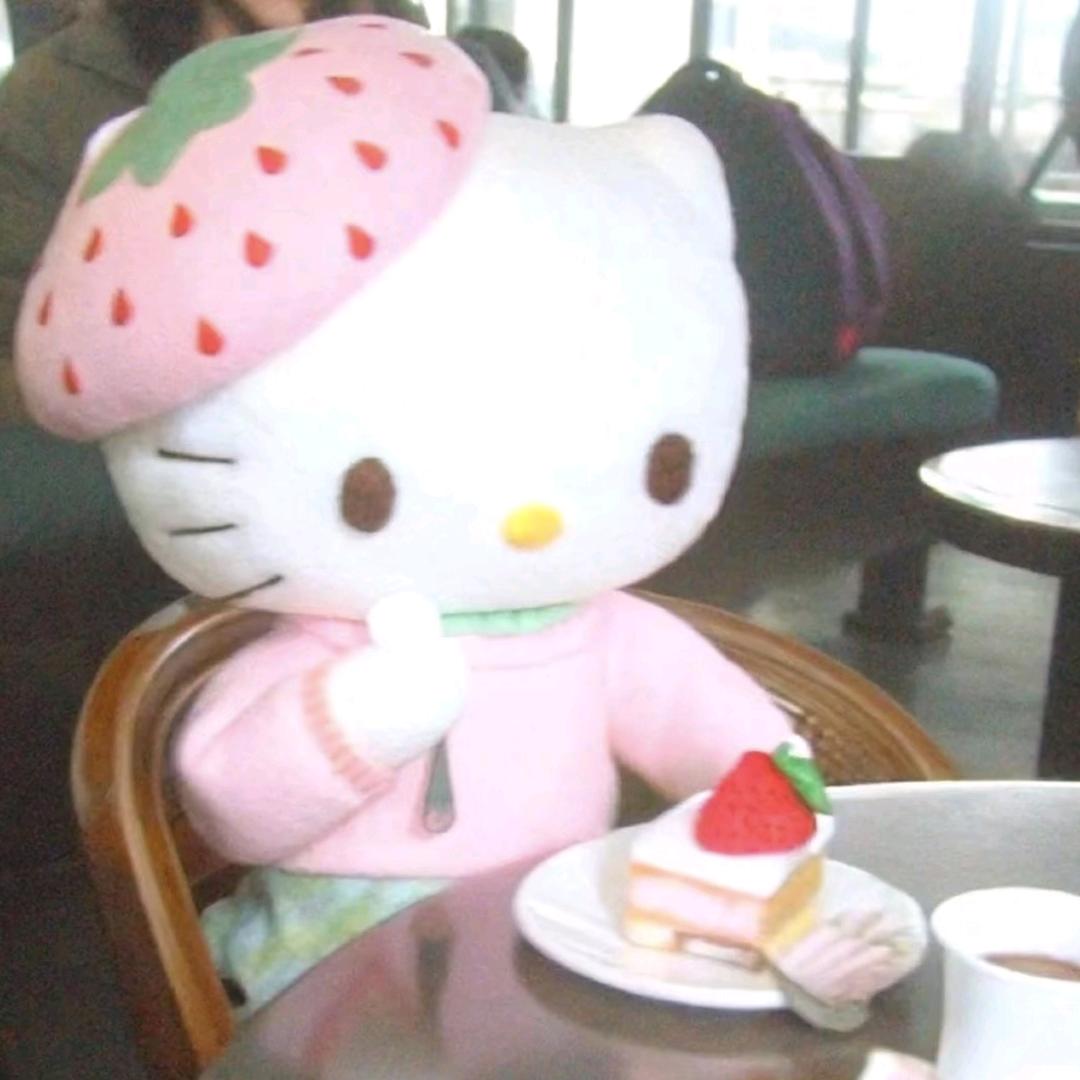 高热小镁🍓