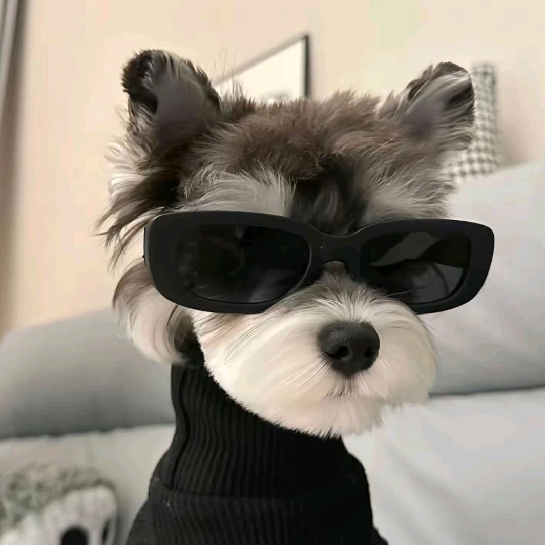 玩儿