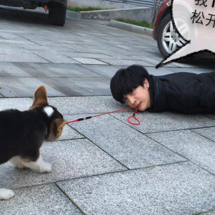 说了你也不懂（登船两次）