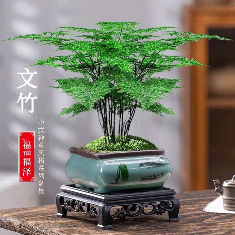 光头哥（一）