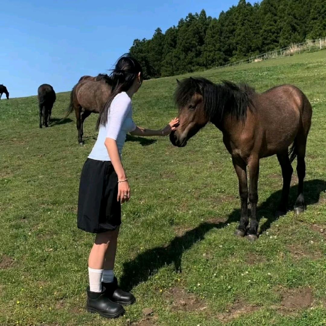 180斤肉肉圆香秦（分享版）