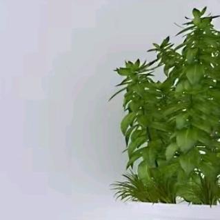 刘老师讲上岸