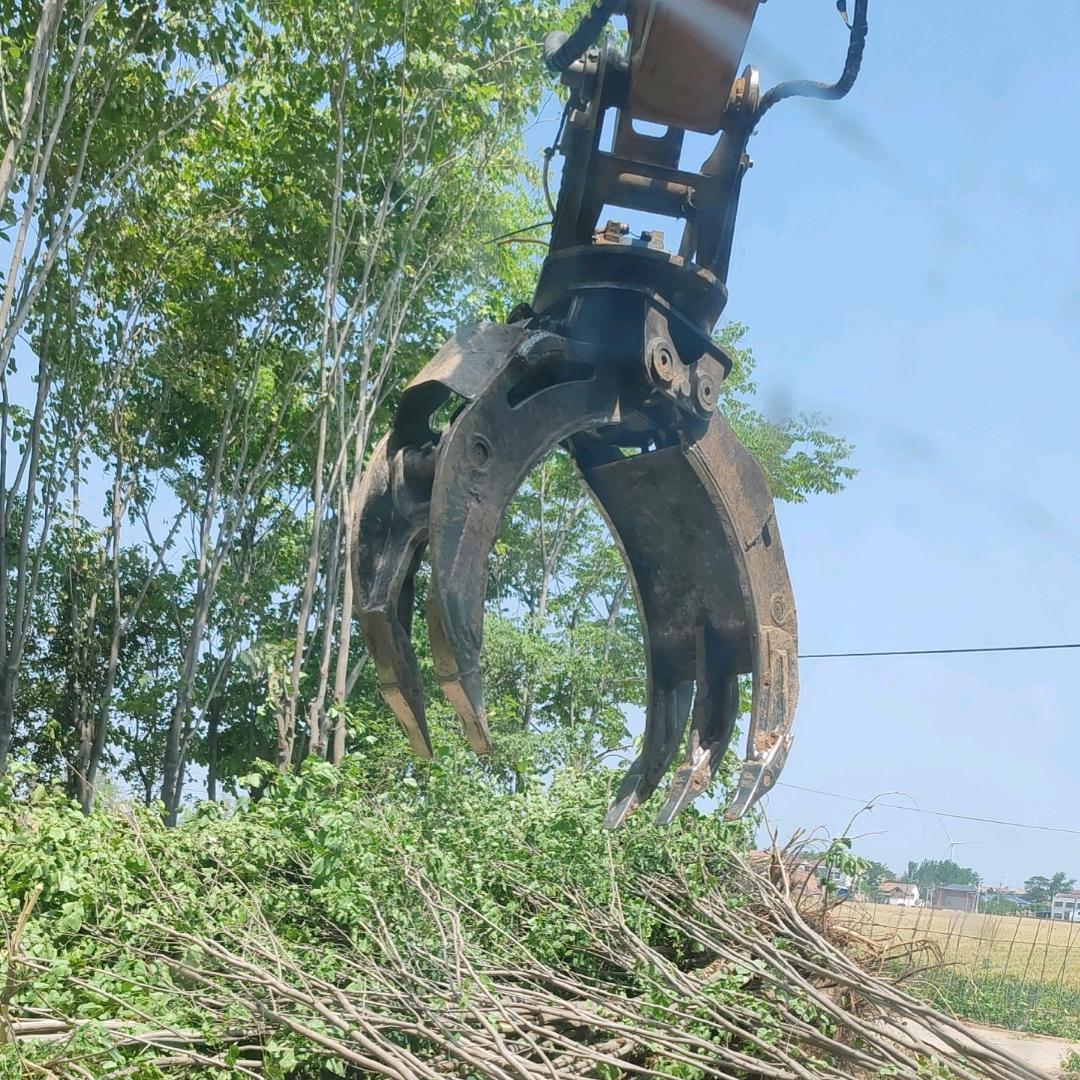 出租抓木器，伐木拉树