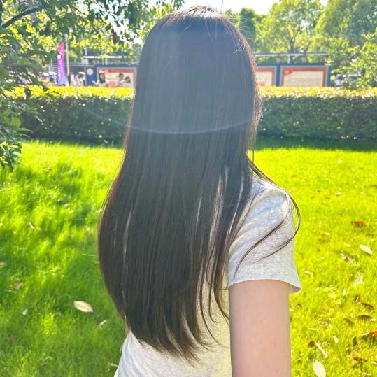 小王子i