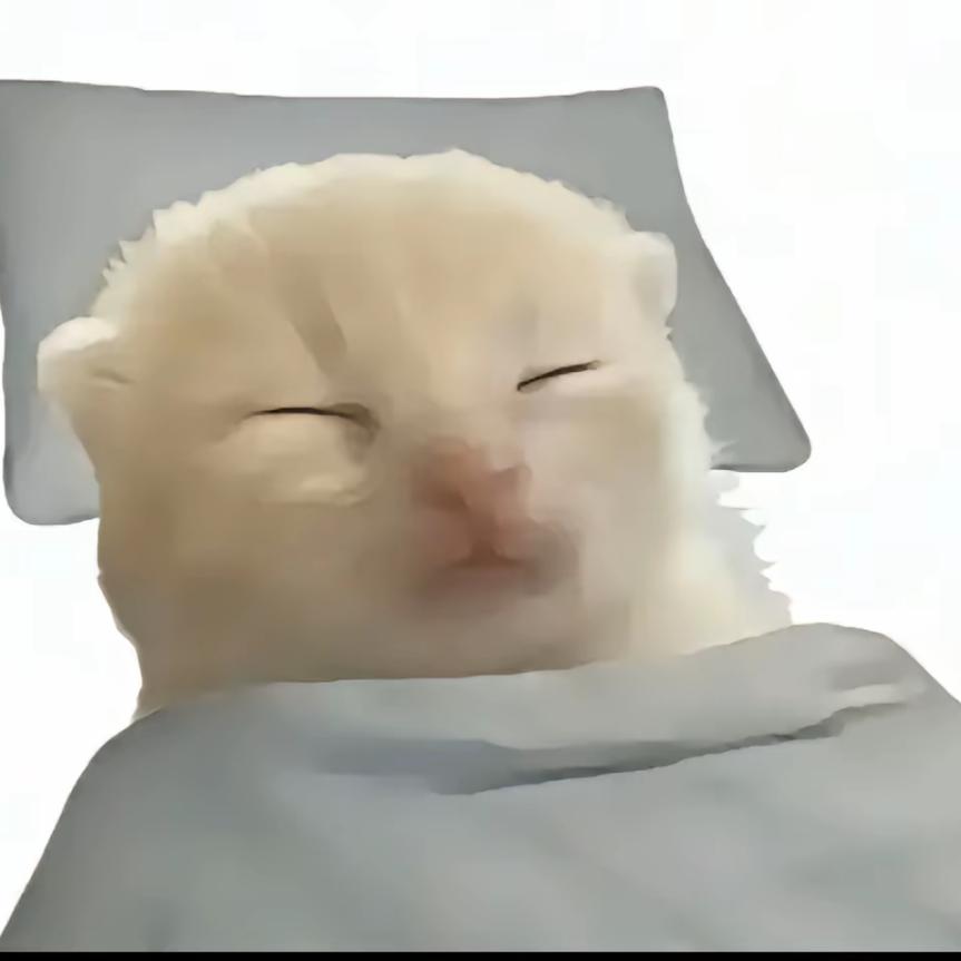 背着海的旅人