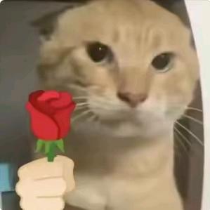 林漆嘉