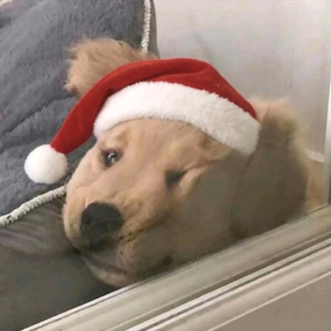 盏盏夜星灯.🏮