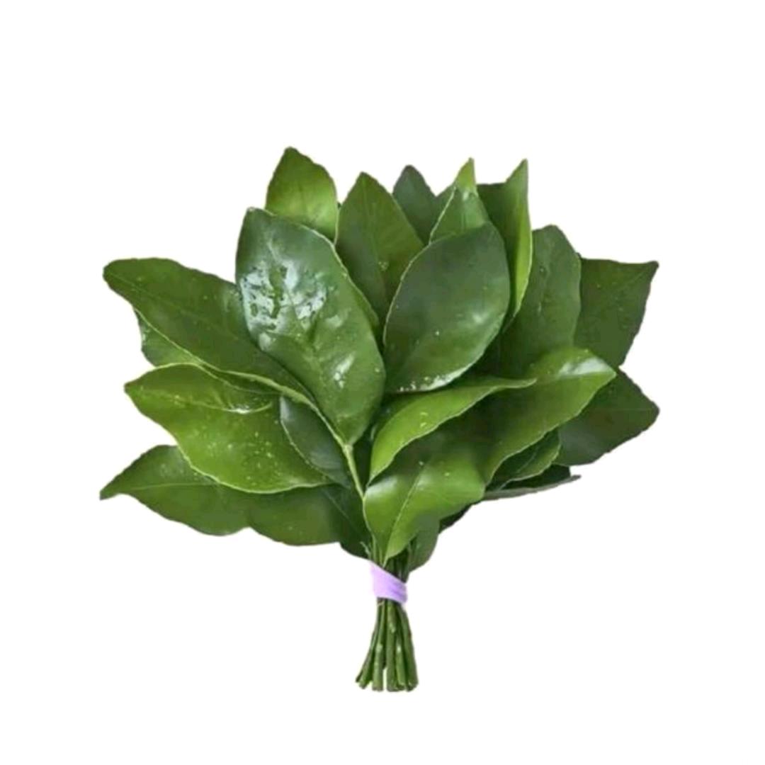明理