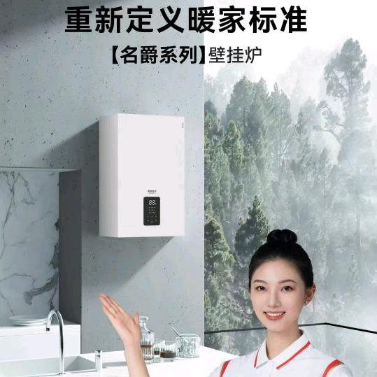 任丘市戴纳斯帝壁挂炉空气源热泵