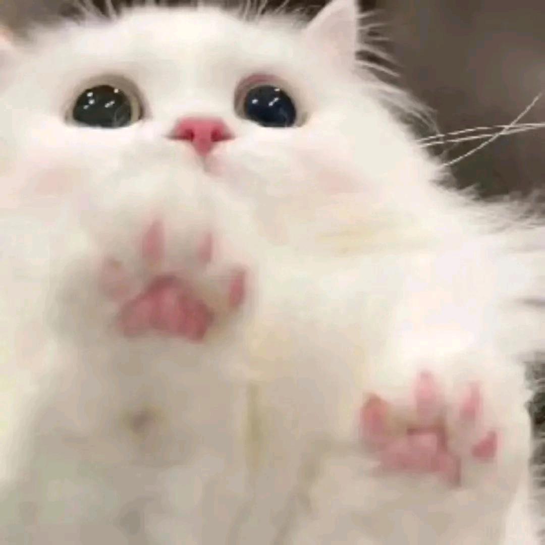 了