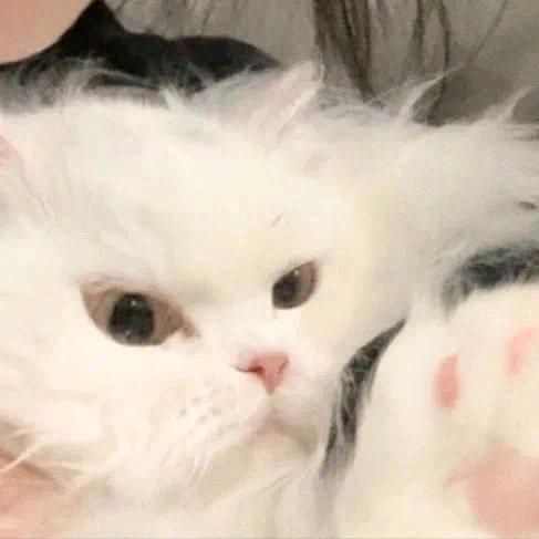 早睡的大叔，