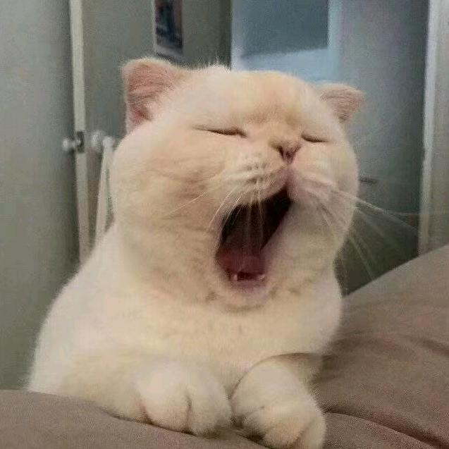 家的味道毛炳红