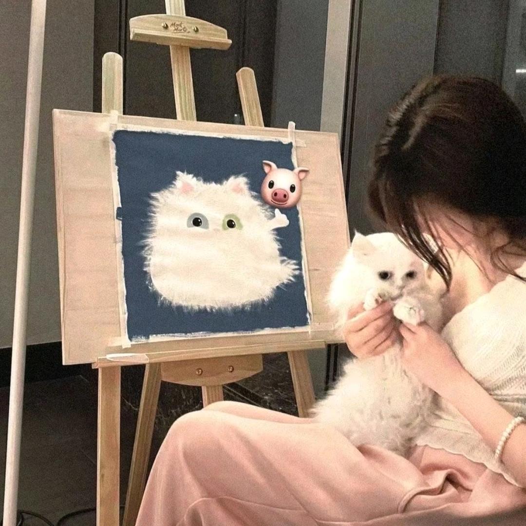 高冷kt猫