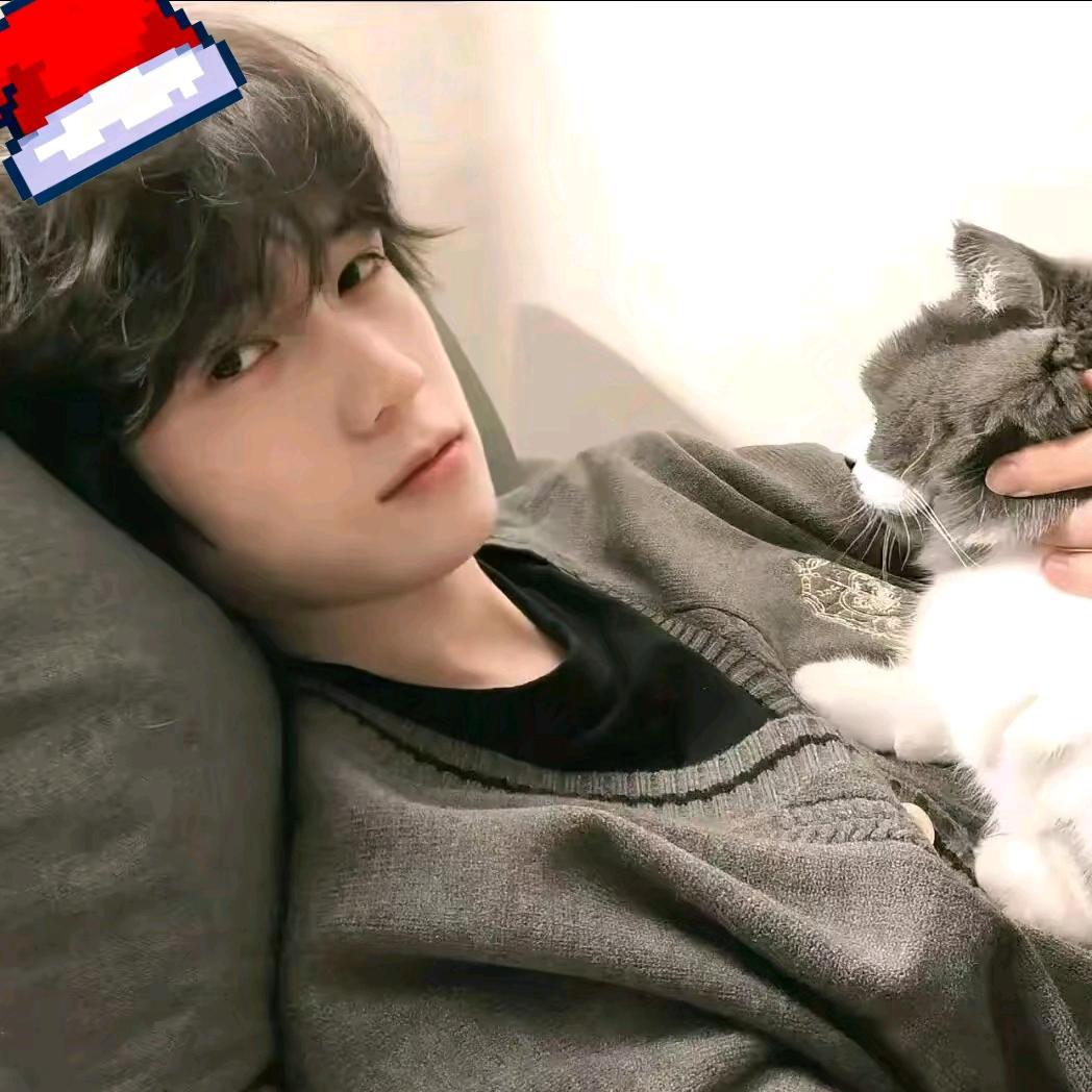 悲伤失眠排骨汤