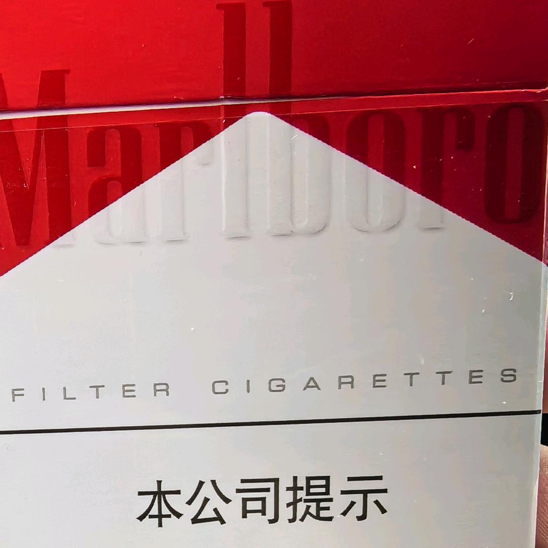 豹