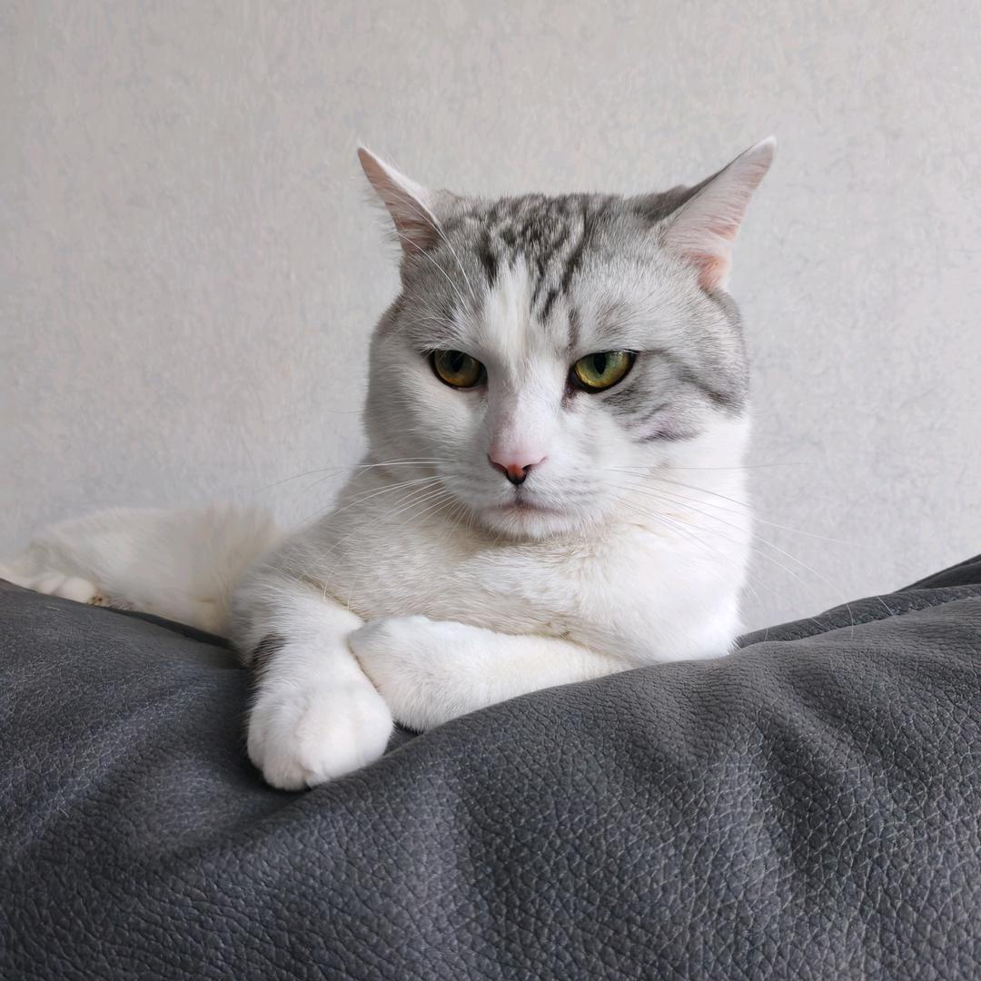 天珺妈