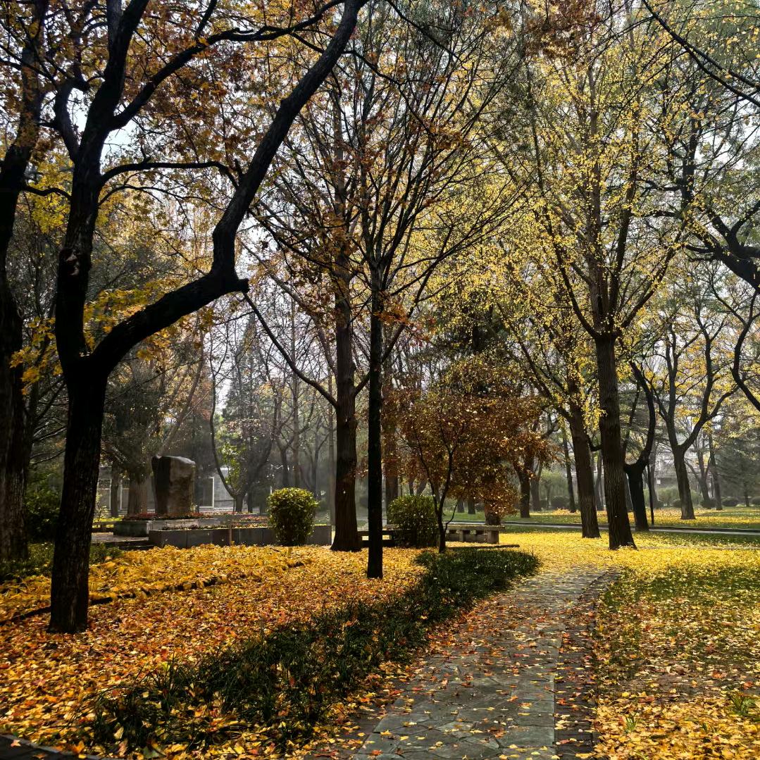 灯火阑珊处的静谧