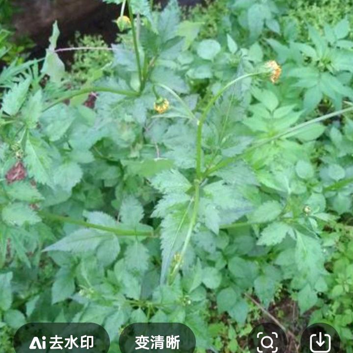 不