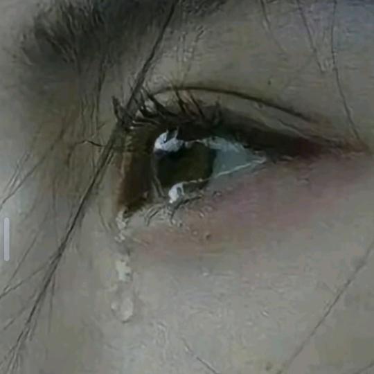 彭🌹🌲🌹💐💔💔