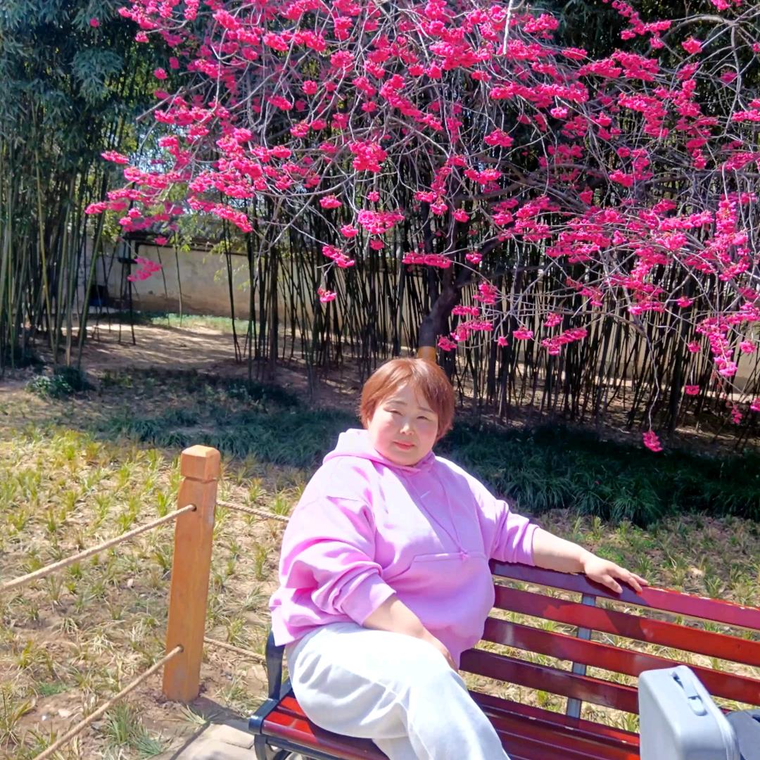 沐木