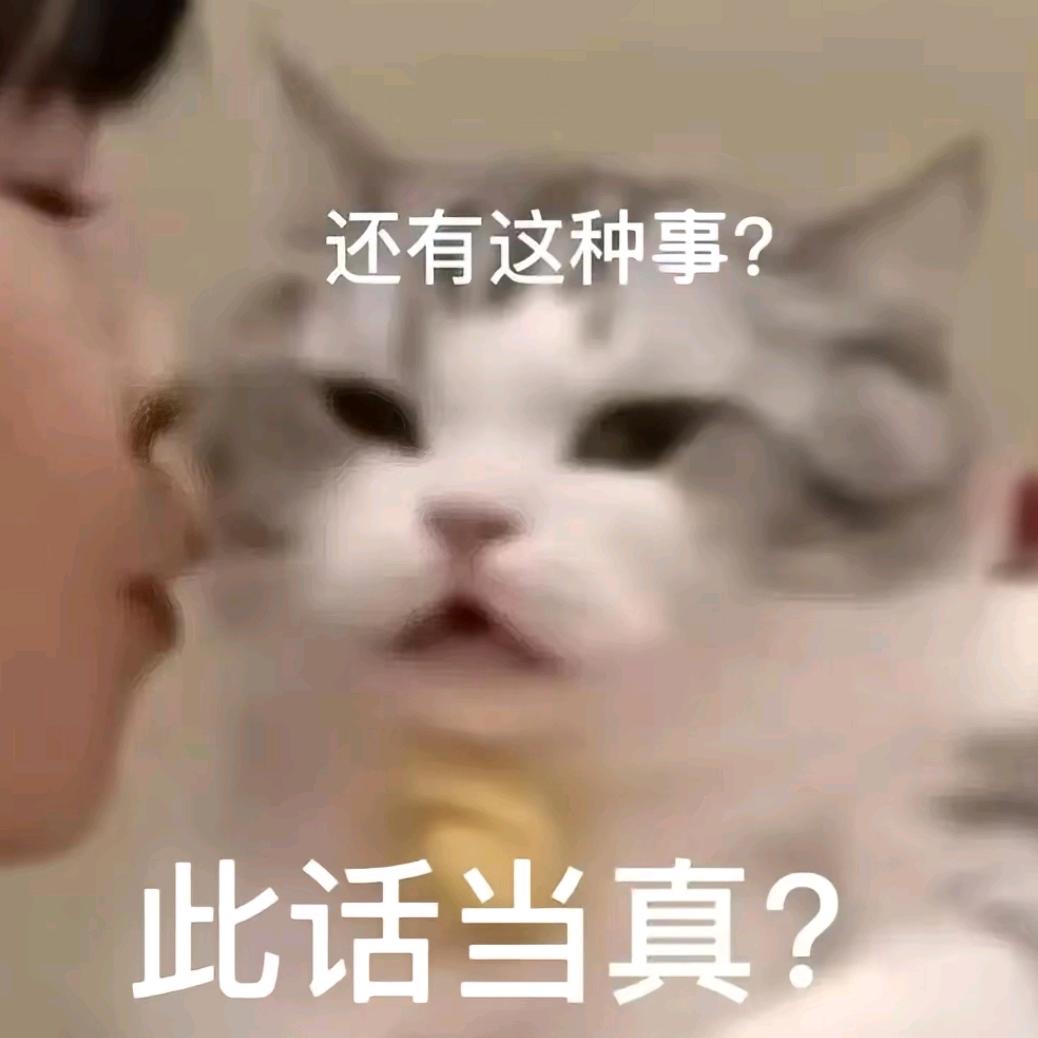 X教父来了