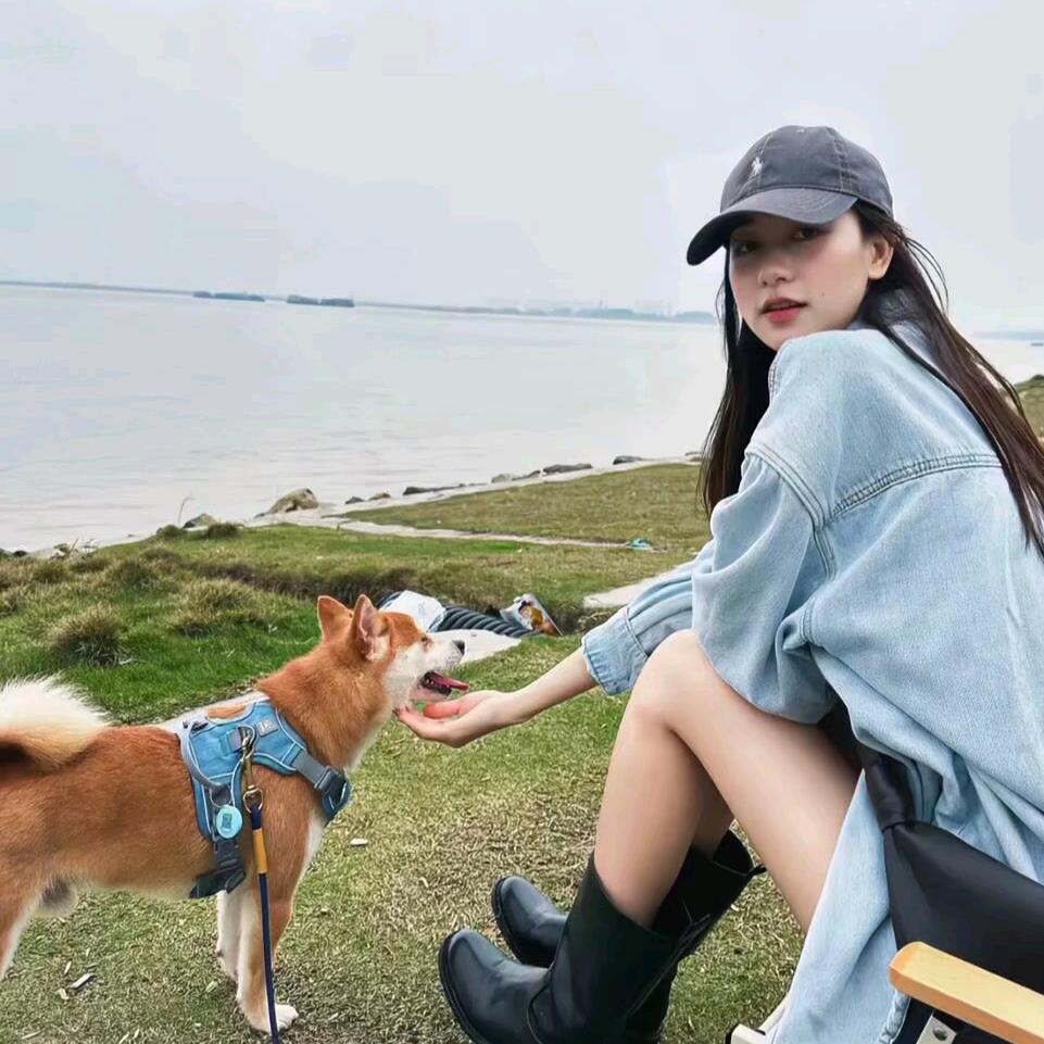 糕冷小美.