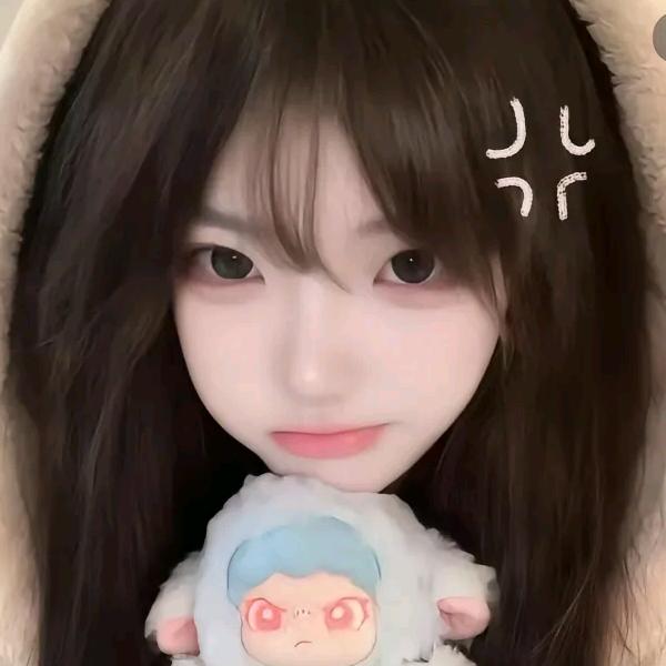 猫书弹幕游戏