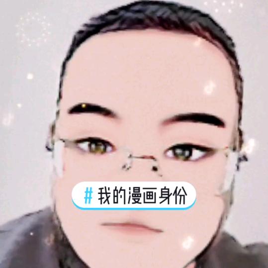 张学良S