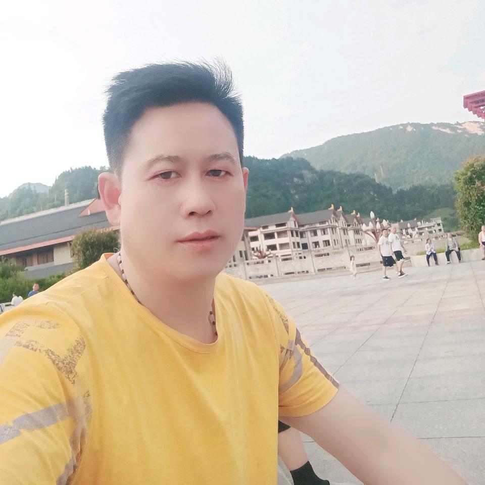 威信植物油燃料灶具