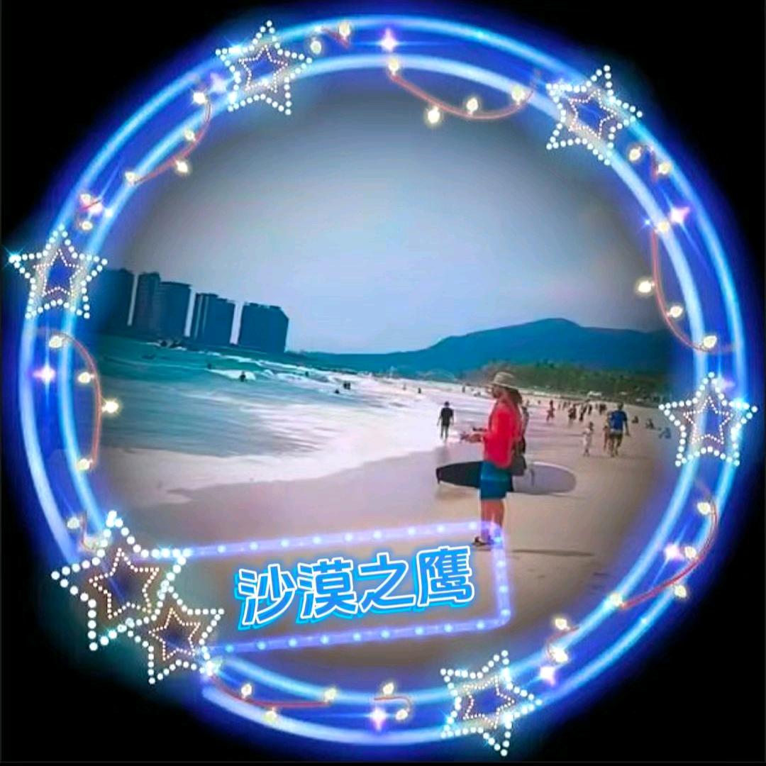 沙漠之鹰