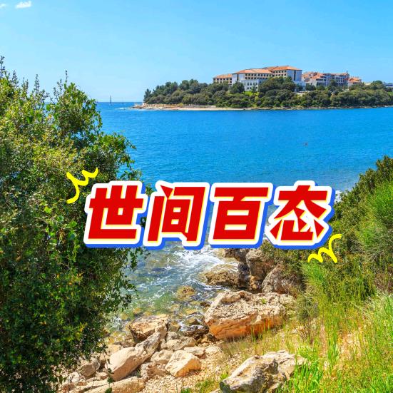 世间百态