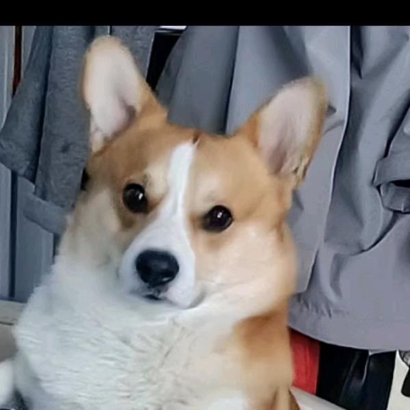 家有喜事