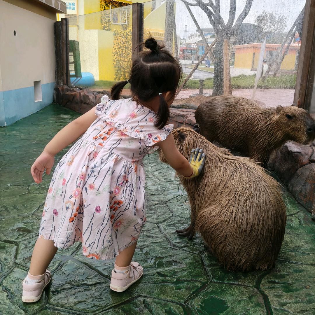 达布溜①哎妈妈