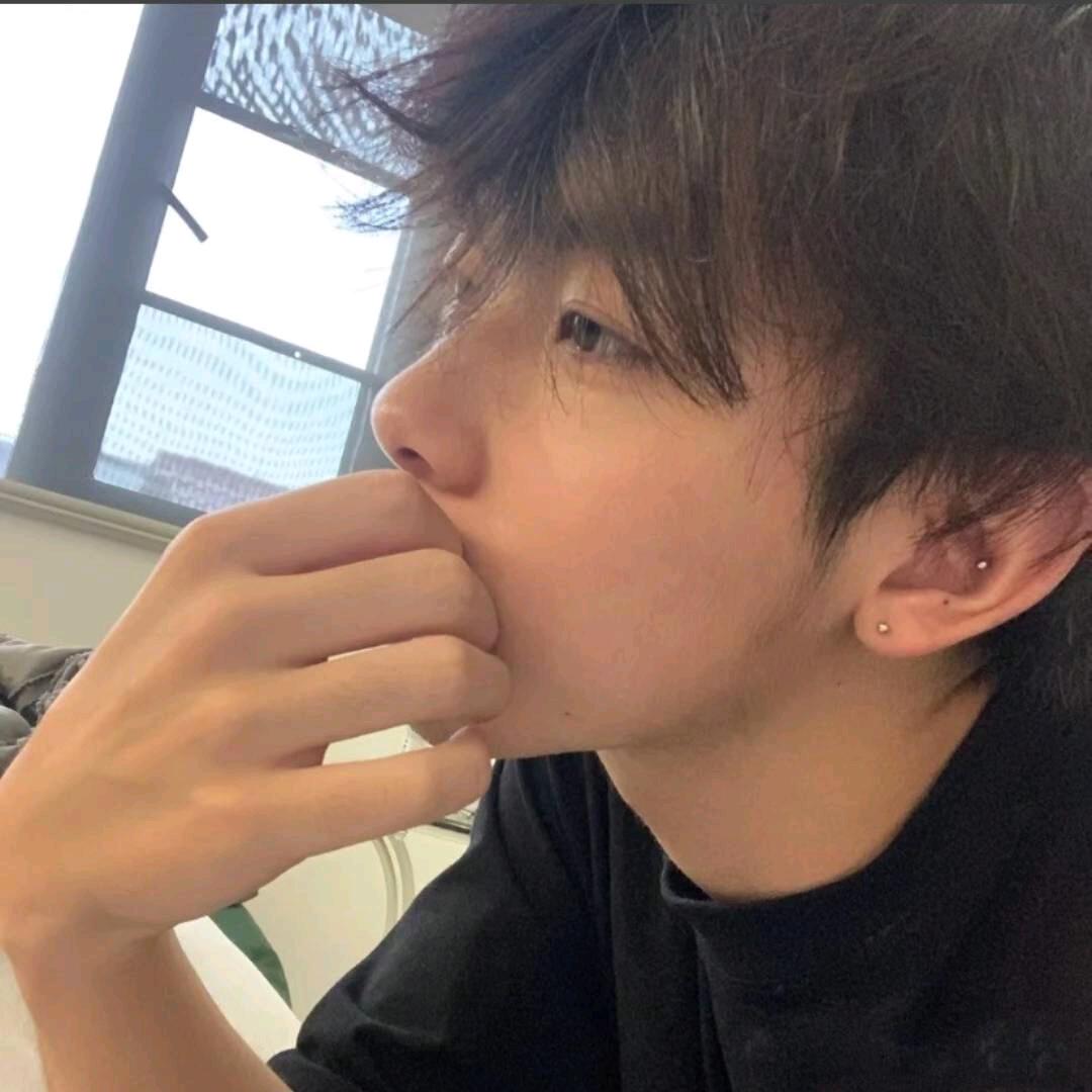 爱冒险的蚊子