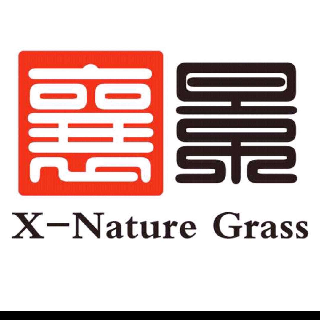 人造草坪-天津襄景生产厂家