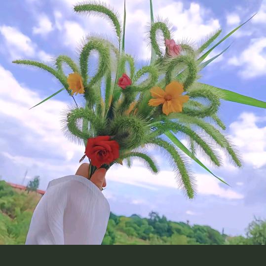 听雨