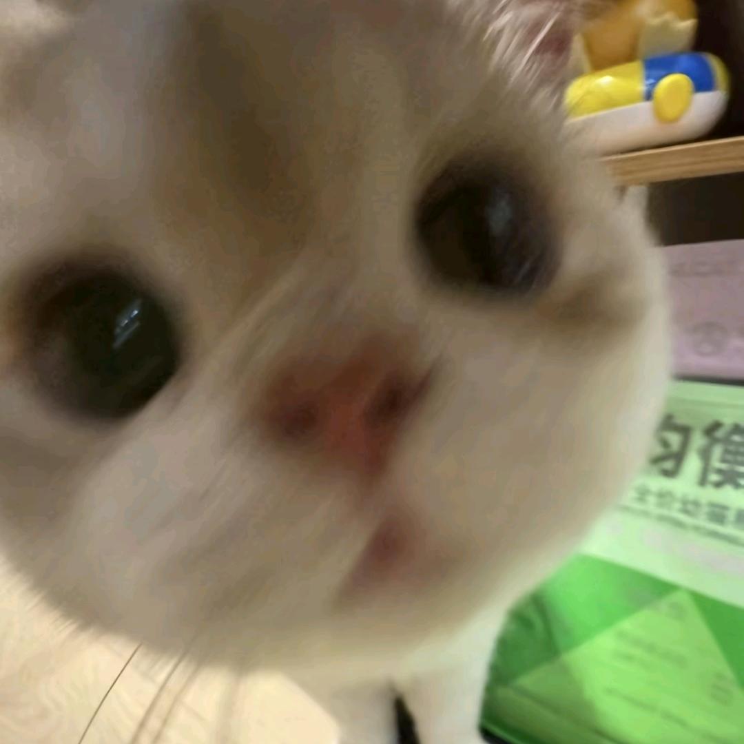 偏爱皆于Jay