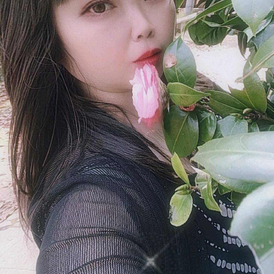 梦🌹🌹🌹