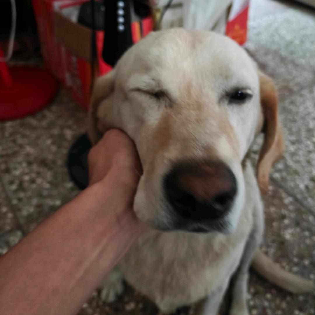 是x不是xd
